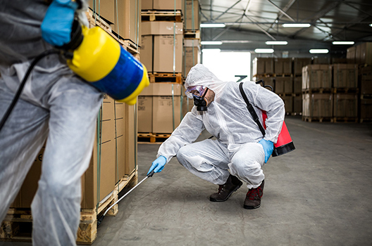 Kiểm Soát Côn Trùng Bò