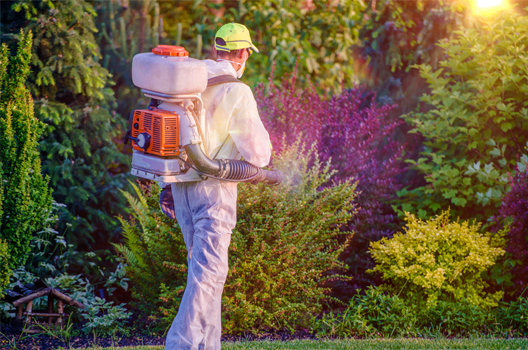 Giải Pháp Kiểm Soát Ong