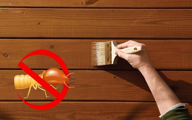 Dầu hỏa hoặc cồn gi&uacute;p ti&ecirc;u diệt mối