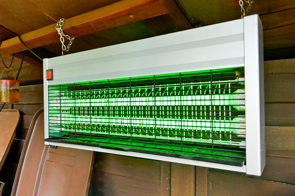 D&ugrave;ng hệ thống đ&egrave;n bắt c&ocirc;n tr&ugrave;ng để kiểm so&aacute;t t&igrave;nh trạng l&acirc;y lan hiệu quả