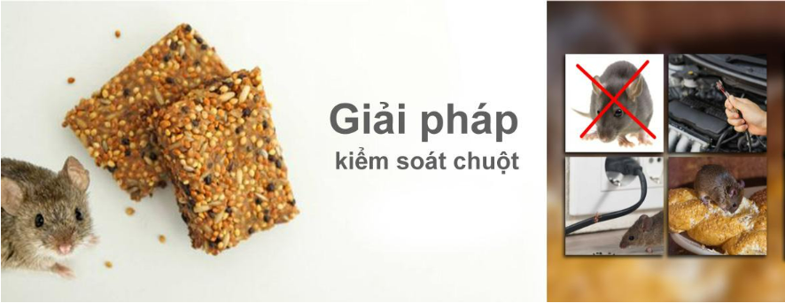 giai-phap-kiem-soat-chuot