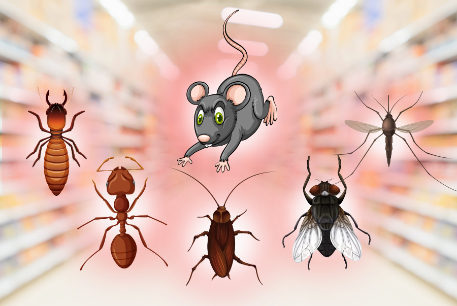 (-H&igrave;nh-c&oacute;-bao-gồm-tất-c&aacute;c-con-c&ocirc;n-tr&ugrave;ng-b&ecirc;n-dưới)